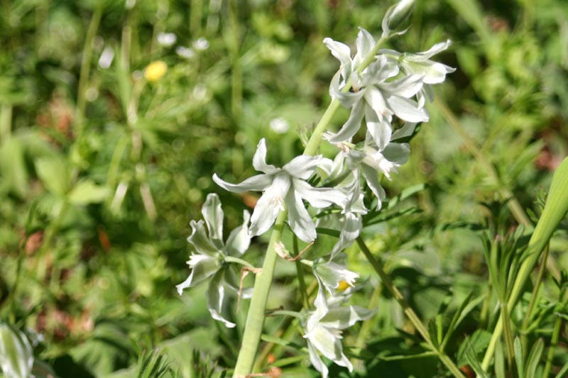 Killikus&reg; Fotographie